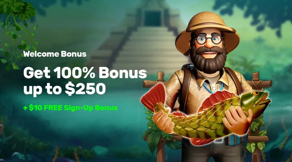 The Pokies: A Masterclass in Social Gaming and Real Money Action