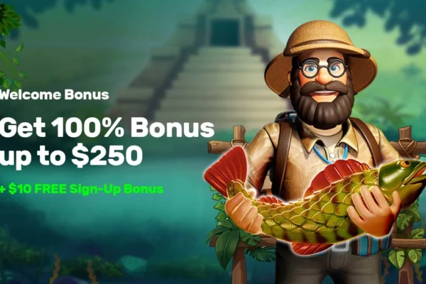 The Pokies: A Masterclass in Social Gaming and Real Money Action